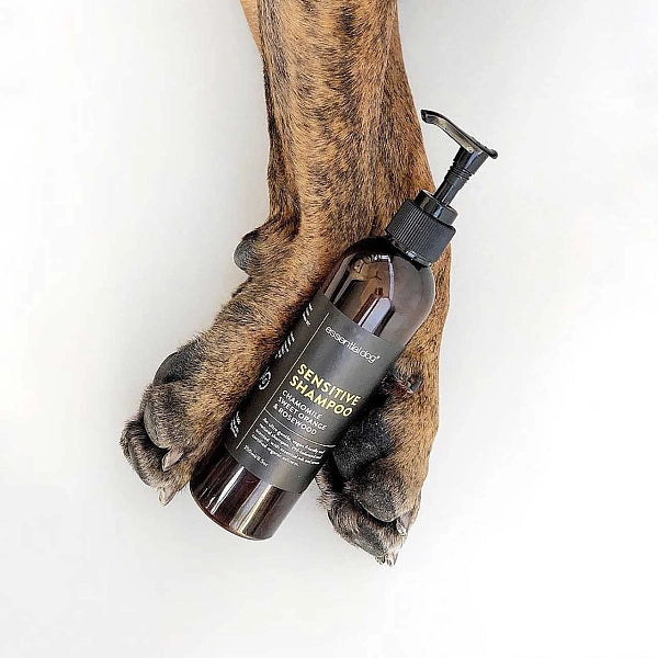 Pico X Natural Pet Supplies
