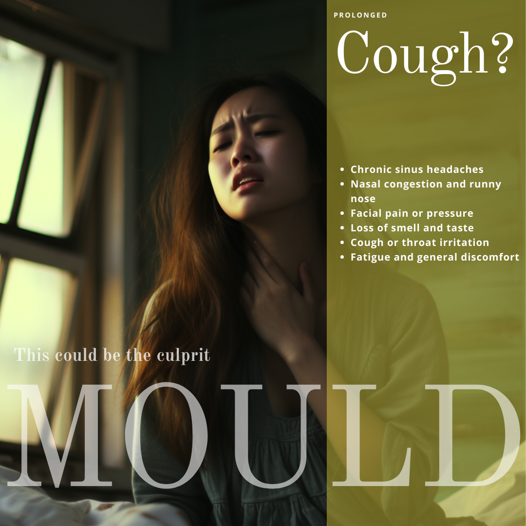 Remove Mould in Singapore