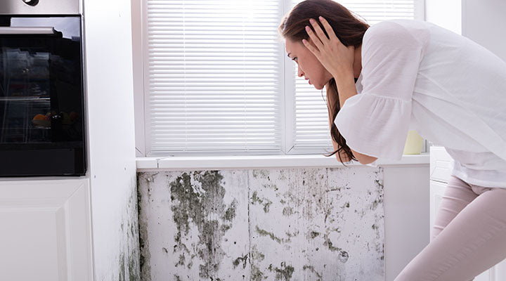 Harmful effect of mold on your loved ones.