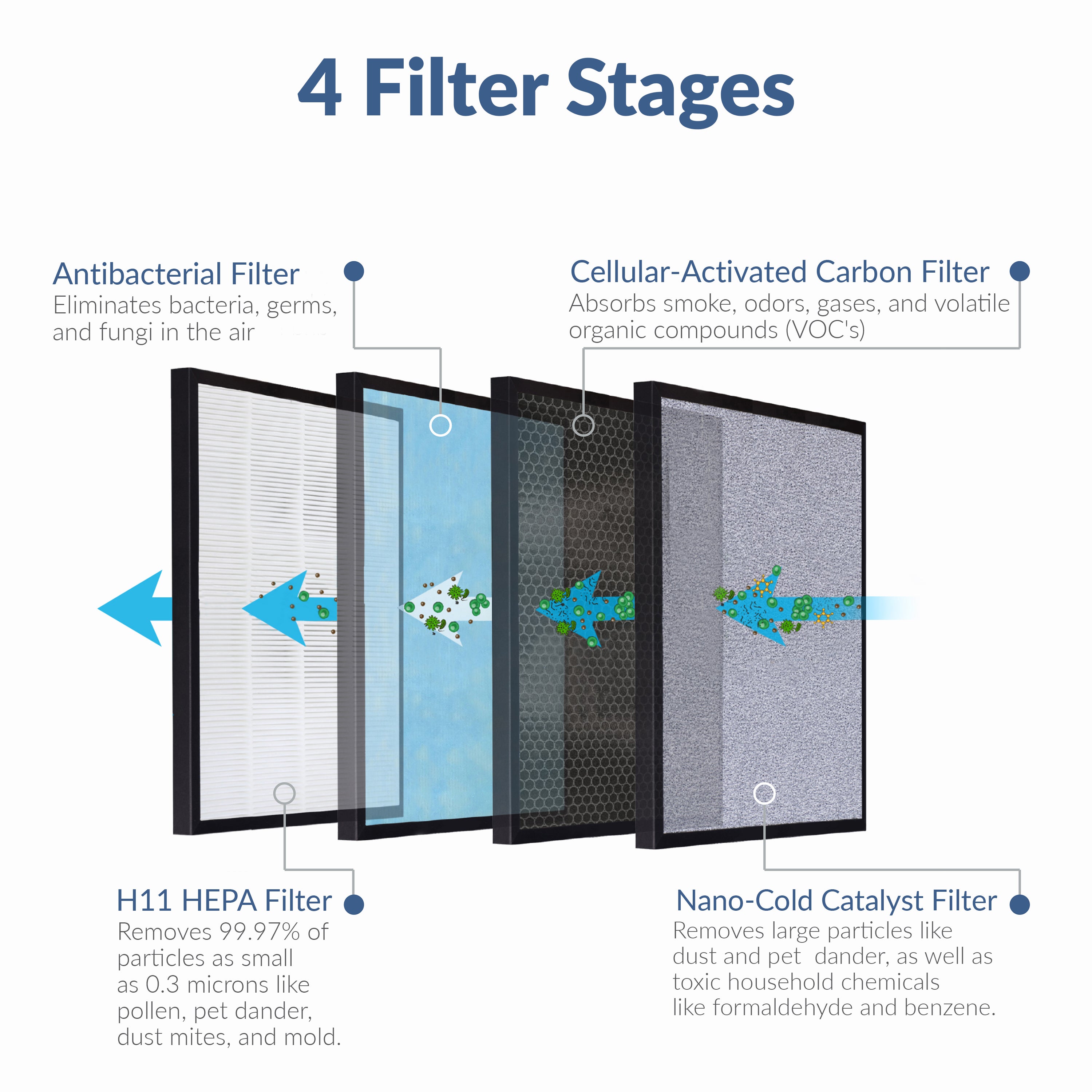Air quality and the various risks living with mold