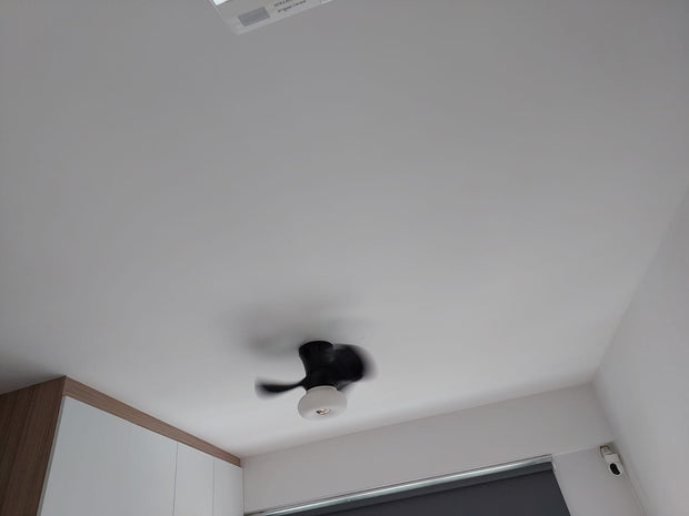 Mould Removal And Protection Services Pico X 